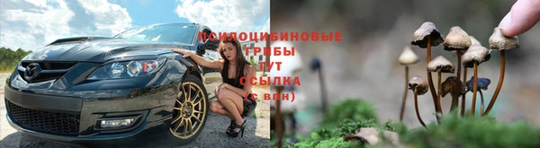 СК Медногорск
