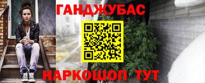 гидра Краснознаменск