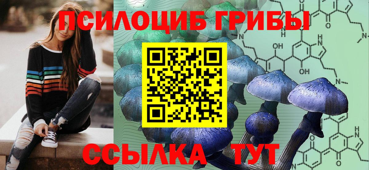 Галлюциногенные грибы Psilocybe  Вход с VPN  Учалы 
